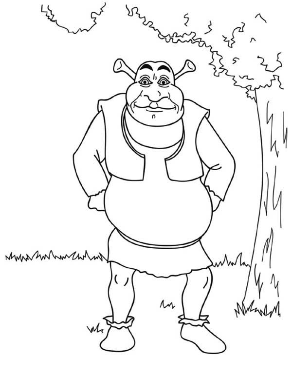 68+ Downloadable Shrek Coloring Pages Printable