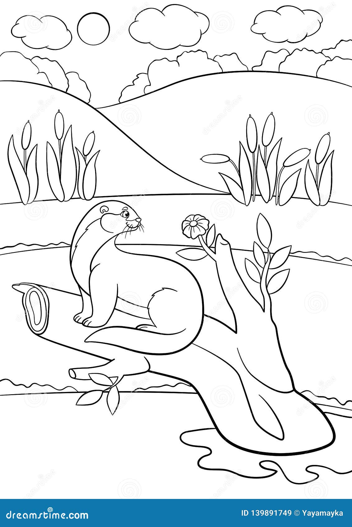 72+ The Best Otter Coloring Pages Printable