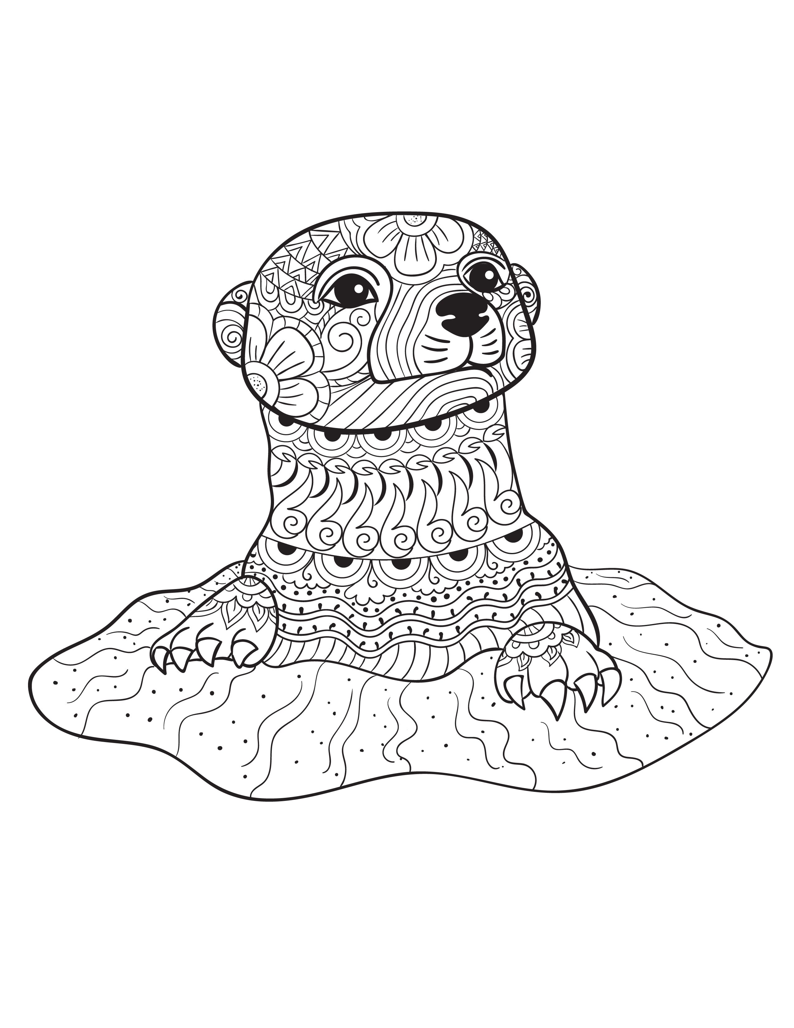 79+ Interactive Otter Coloring Pages Printable