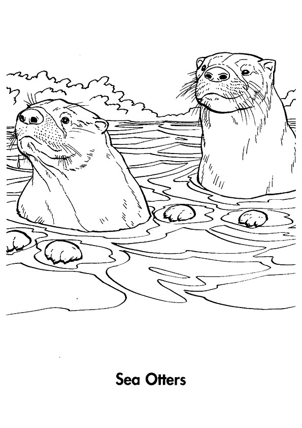 81+ Adorable Otter Coloring Pages Printable