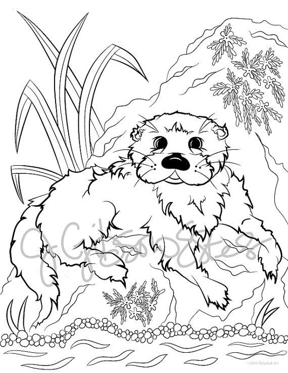 82+ Lovely Otter Coloring Pages Printable