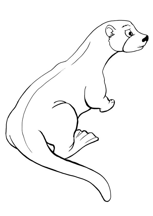 82+ Ultimate Otter Coloring Pages Printable