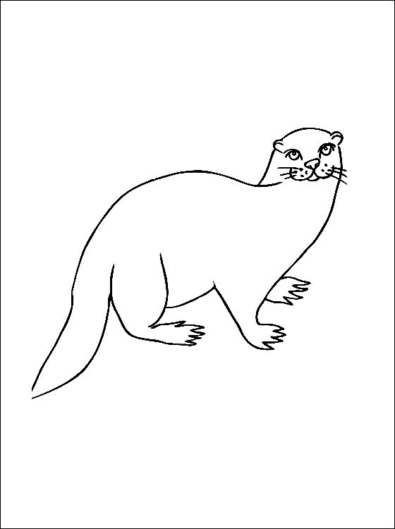 83+ Happy Otter Coloring Pages Printable