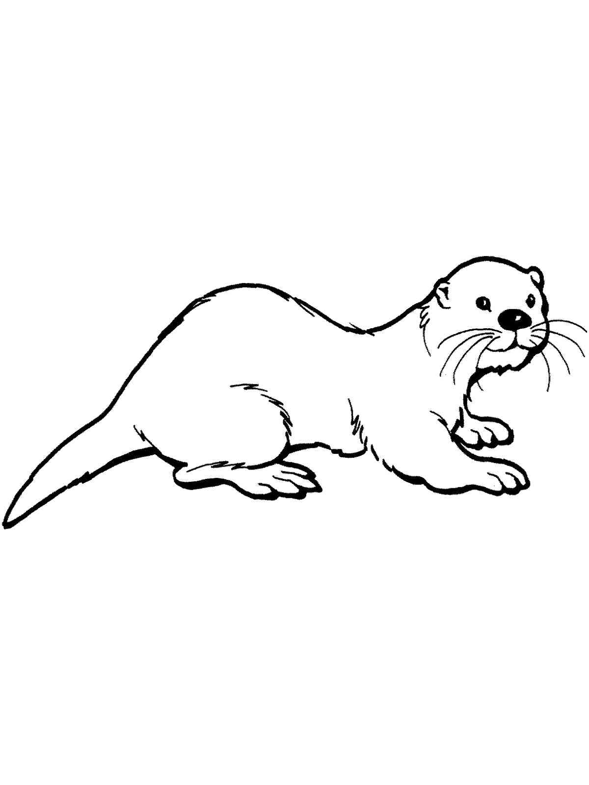 84+ New Otter Coloring Pages Printable