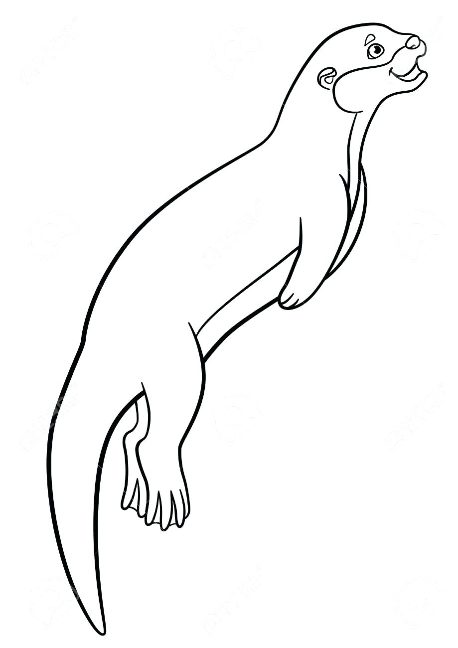 9+ Aesthetic Otter Coloring Pages Printable