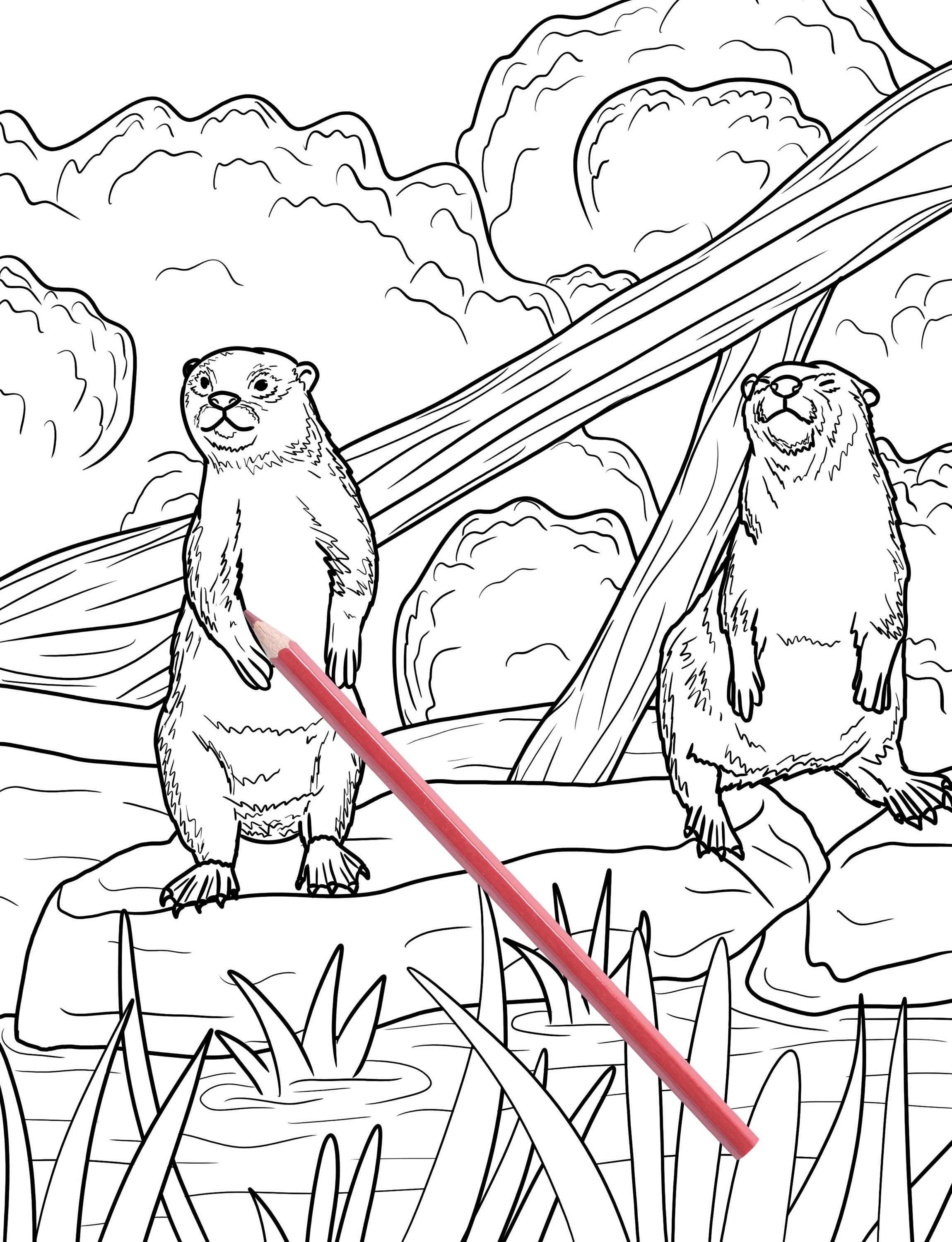 96+ Trendy Otter Coloring Pages Printable