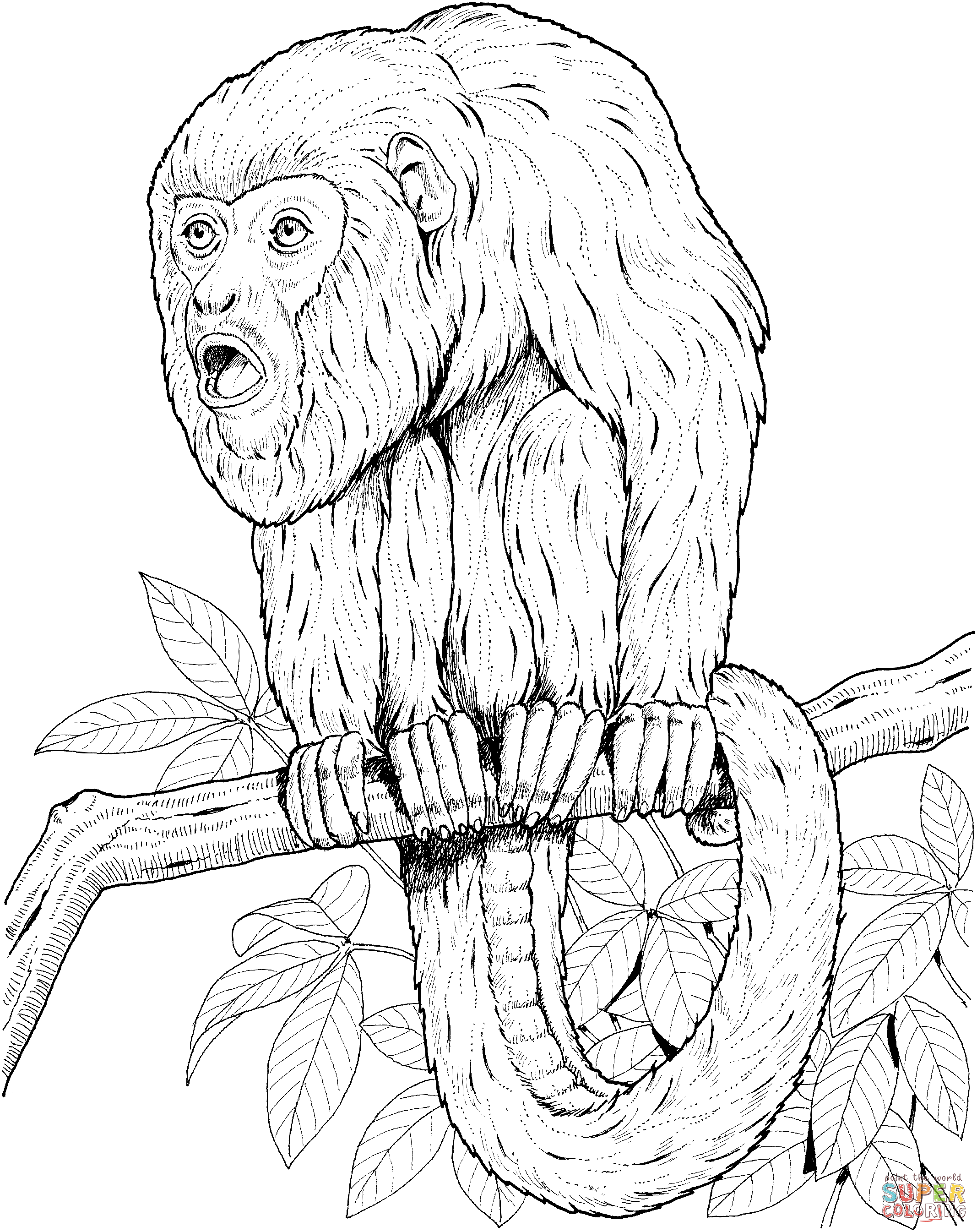 48+ Amazing Monkey Coloring Pages Easy Kids