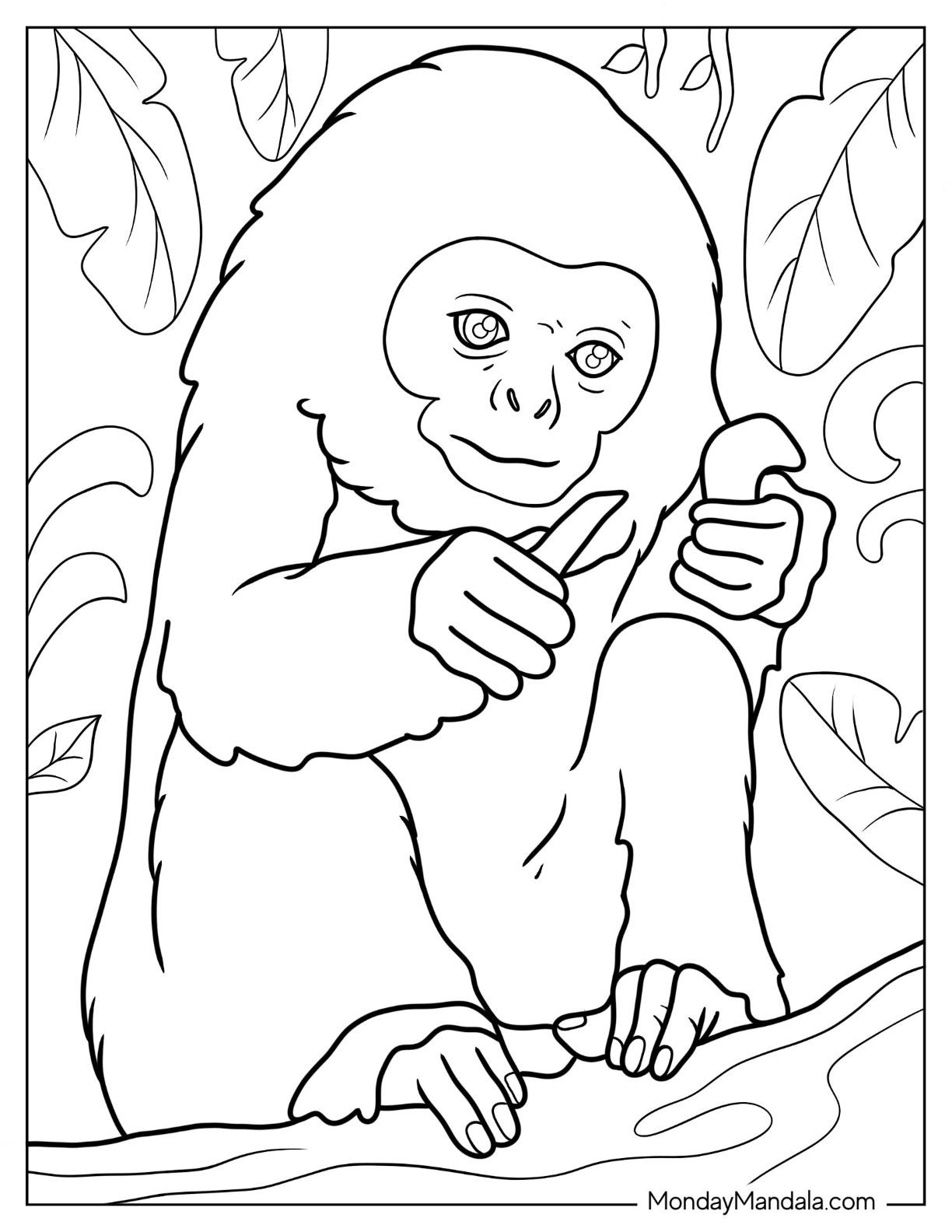 39+ Detailed Monkey Coloring Pages Download FREE