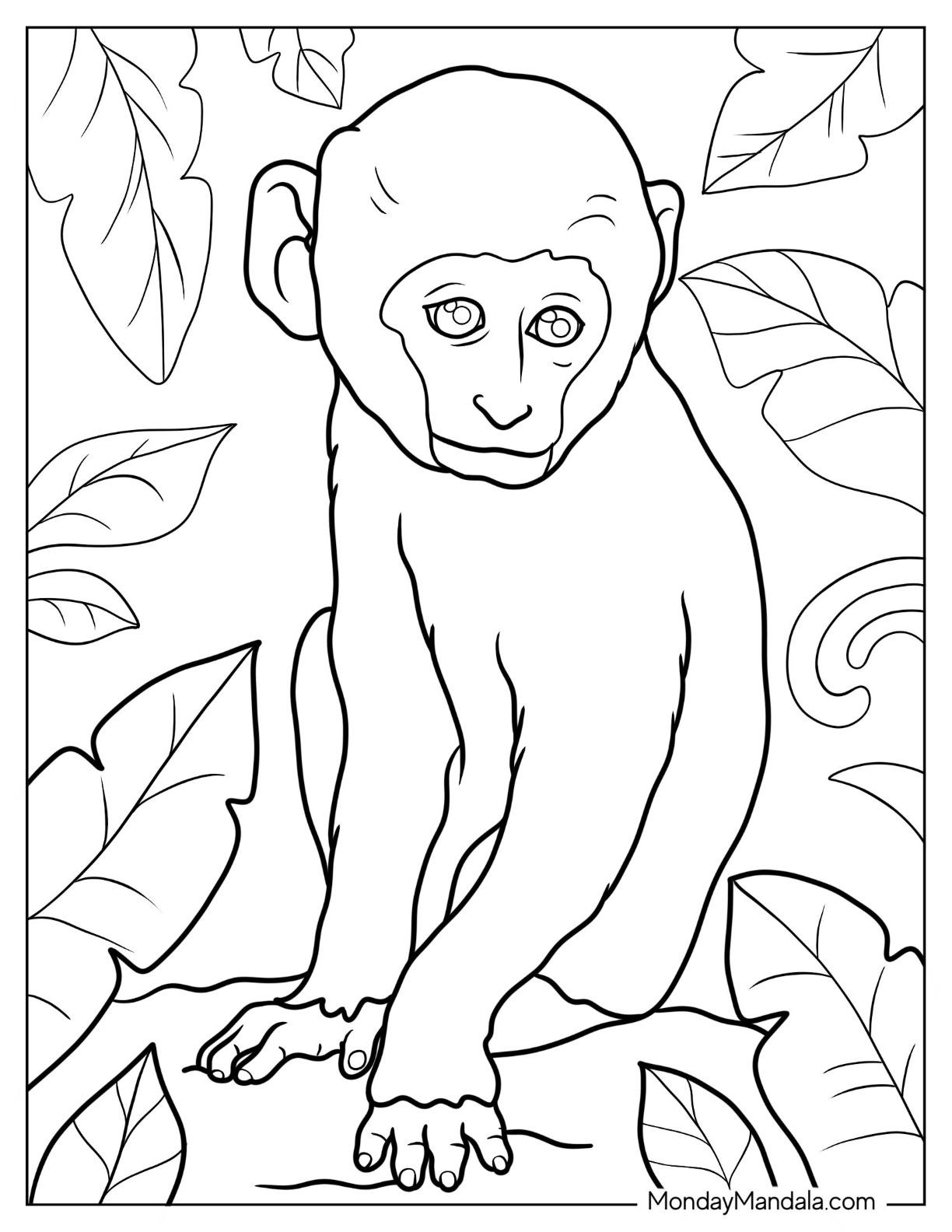 50+ Ultimate Monkey Coloring Pages Simple