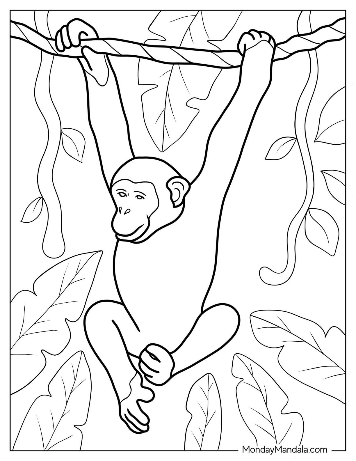 48+ Joyful Monkey Coloring Pages Realistic