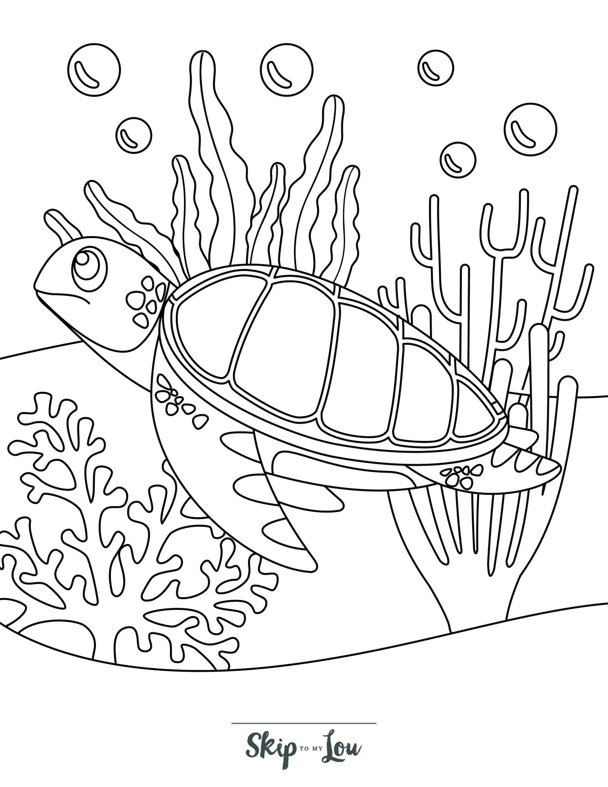 35+ Engaging Turtle Coloring Pages Unique