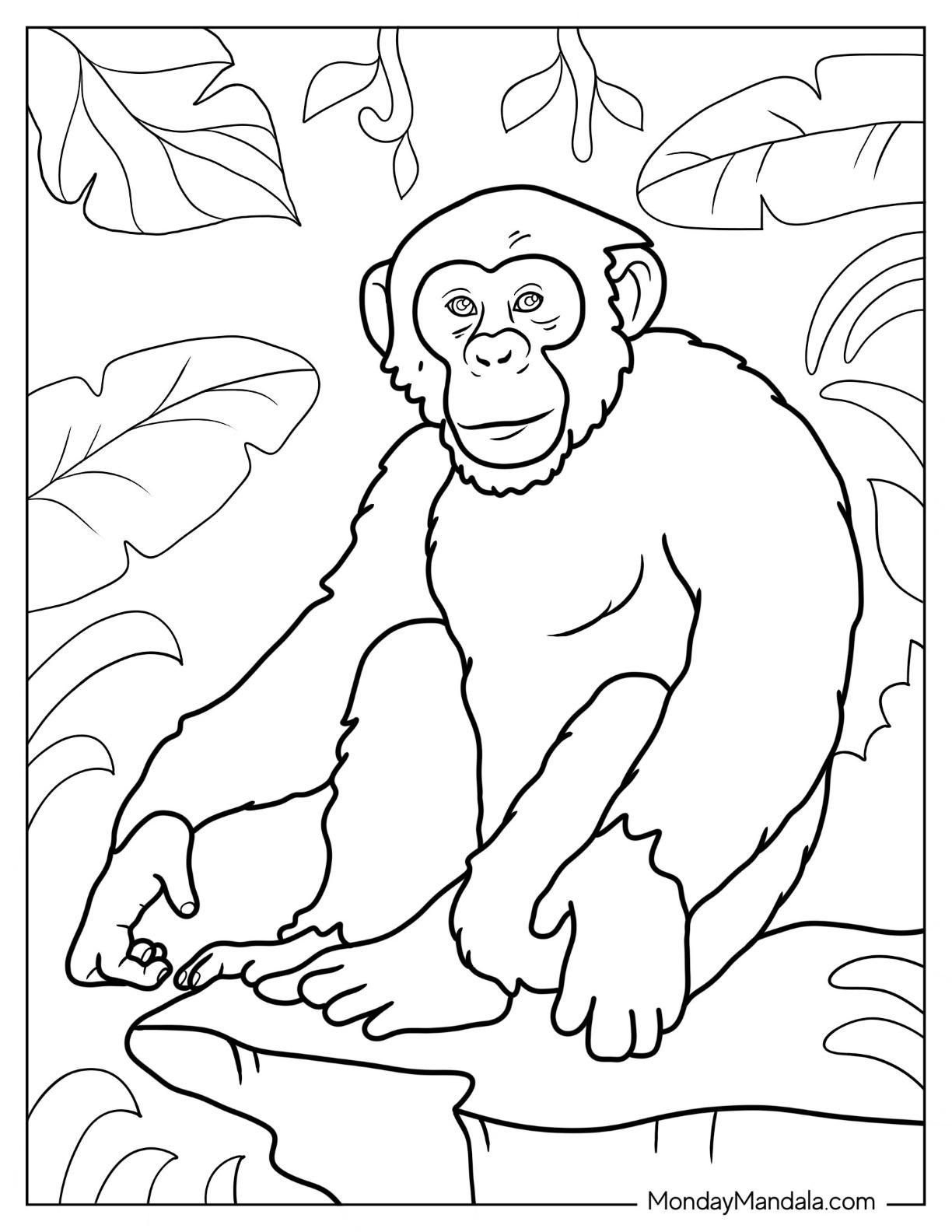 30+ Happy Monkey Coloring Pages Printable Sheets