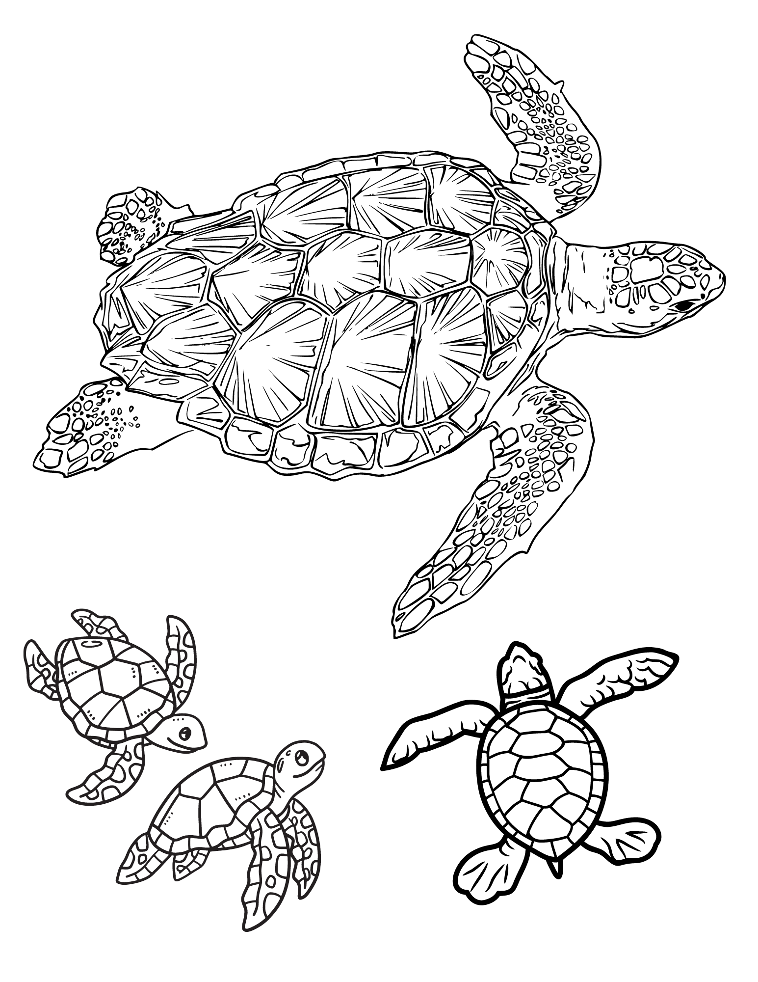 45+ Artistic Turtle Coloring Pages Download FREE