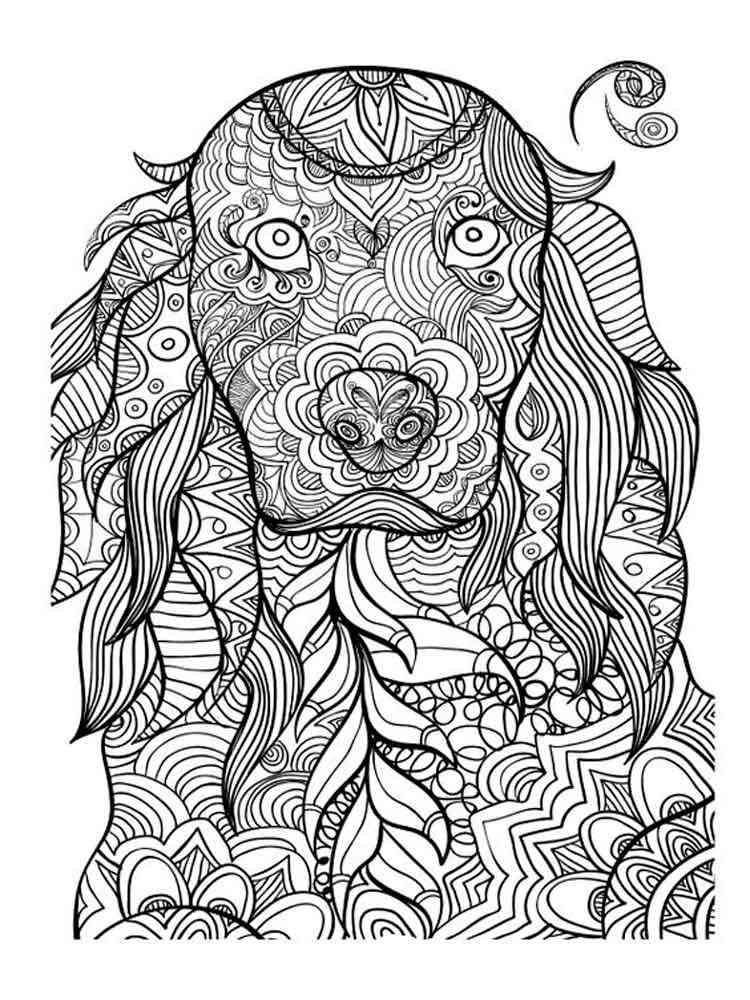 35+ Amazing Animal Coloring Pages Inspirational