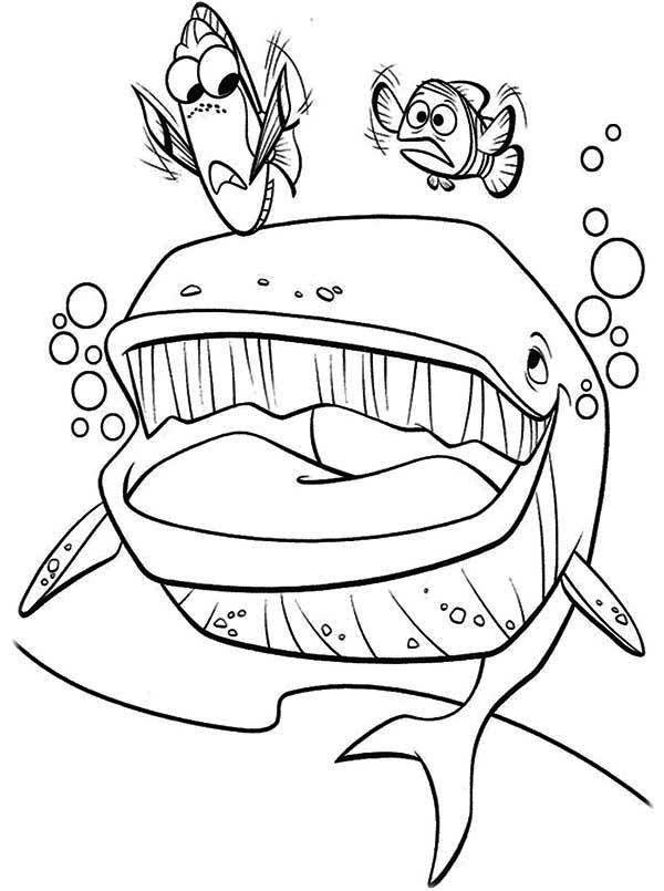 38+ Amazing Nemo Coloring Pages for Educational