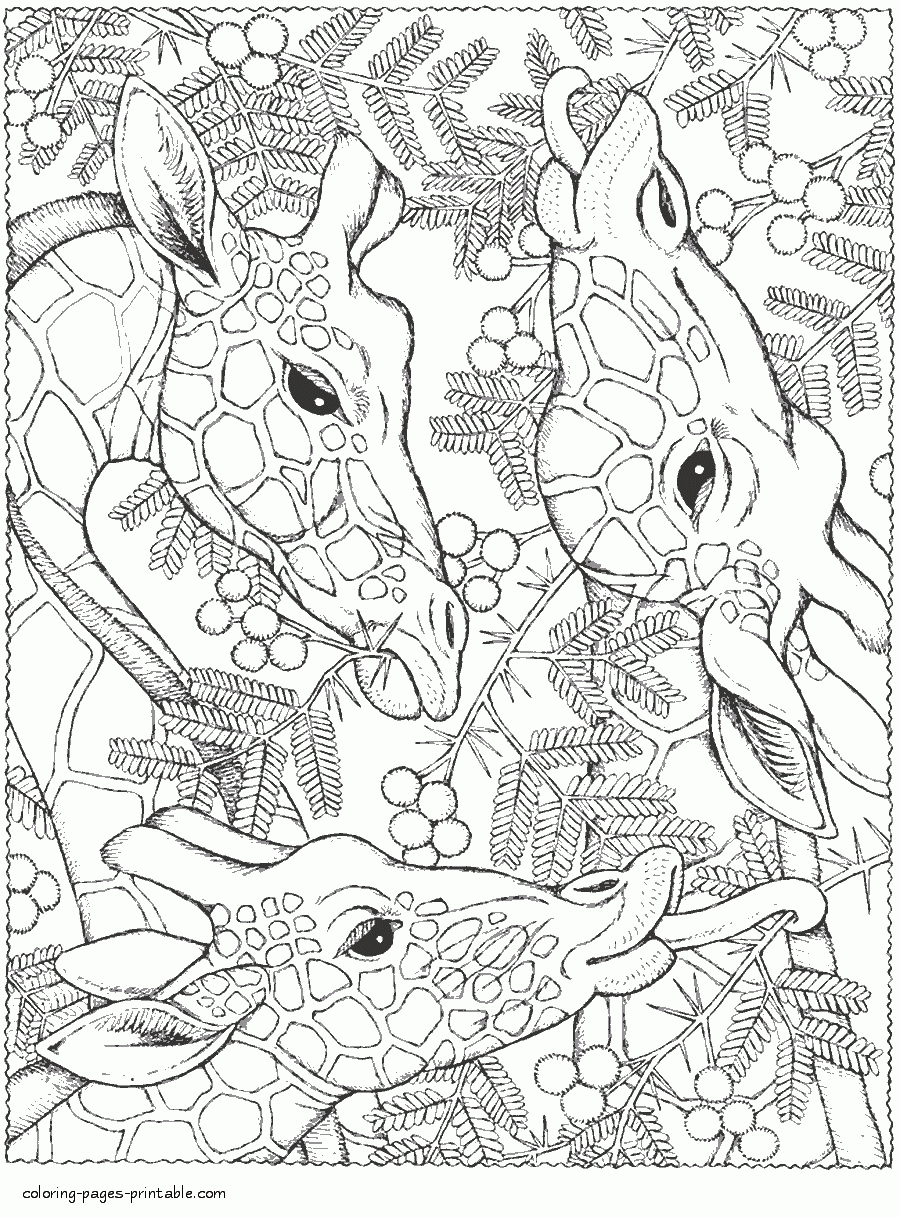 47+ The Best Animal Coloring Pages for Educational