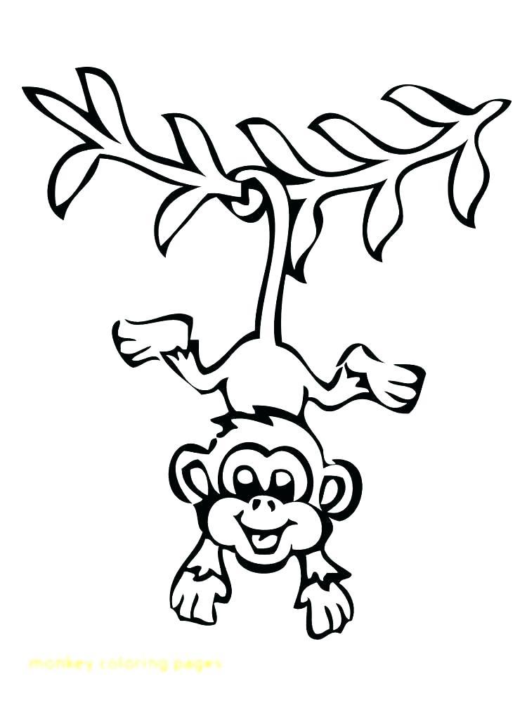 38+ Adorable Monkey Coloring Pages for Kids and Adult