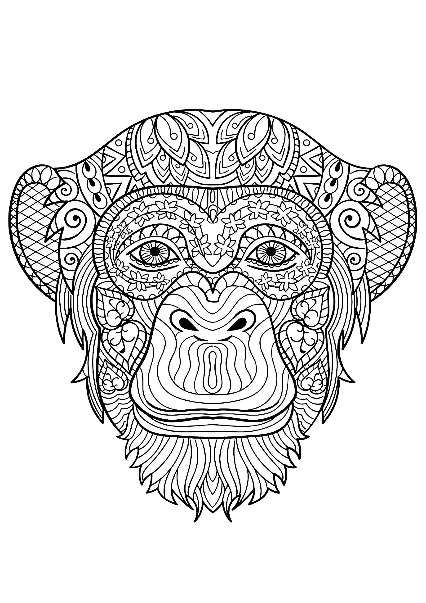 43+ Simple Monkey Coloring Pages Unique