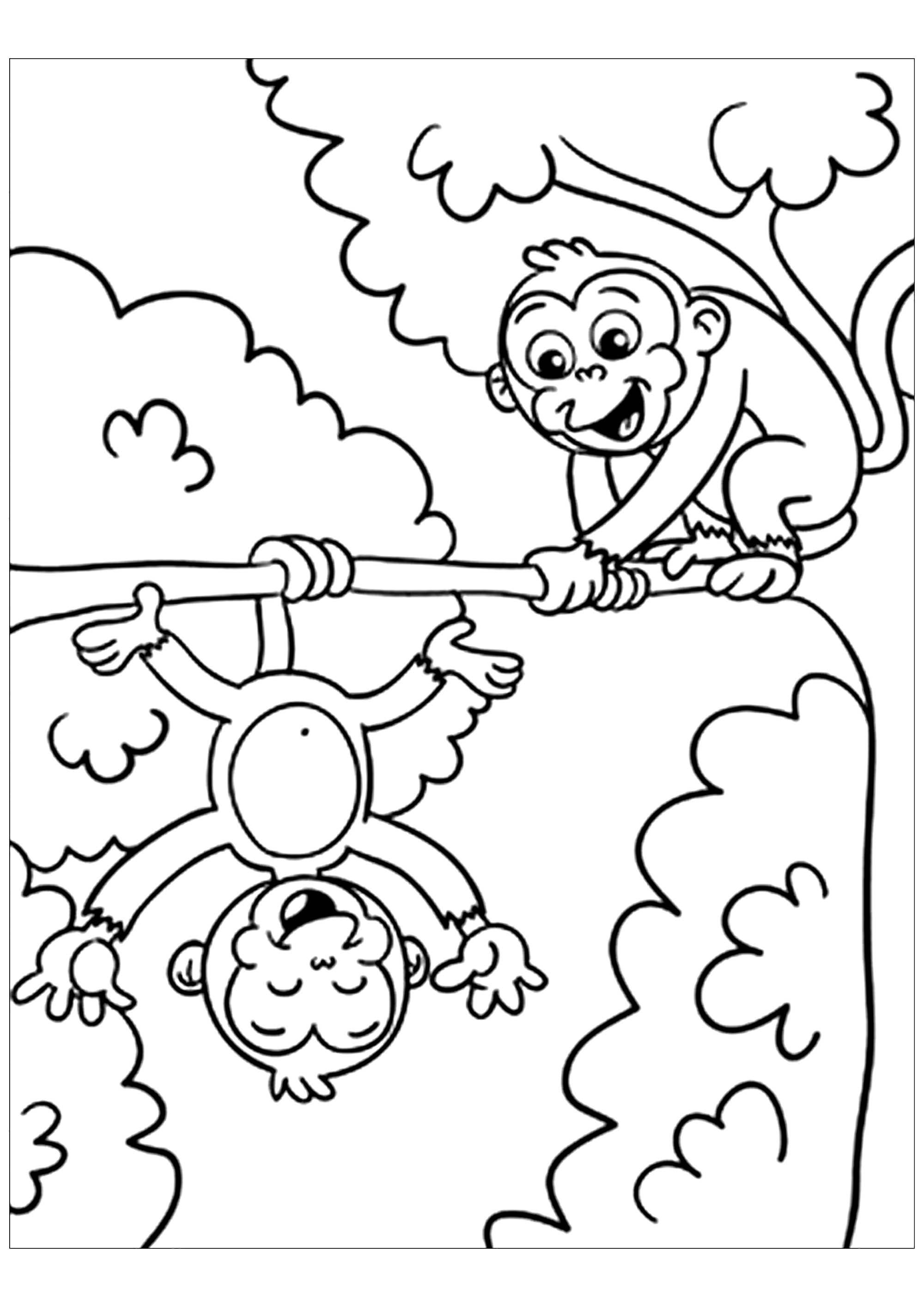 36+ Lovely Monkey Coloring Pages PDF Printable