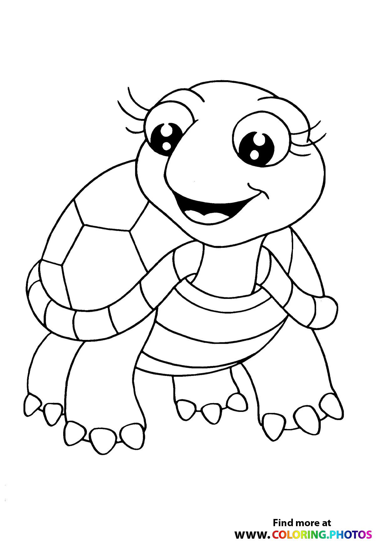 37+ Cheerful Turtle Coloring Pages Free Printable