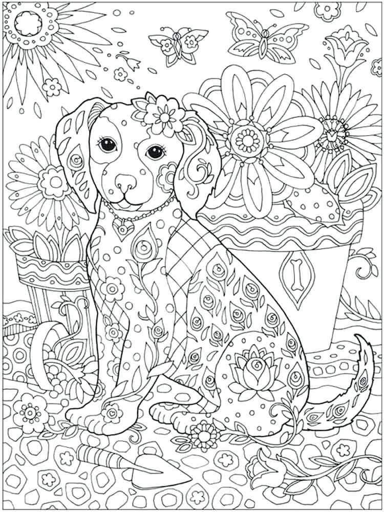 39+ Unique Animal Coloring Pages with Simple Outline