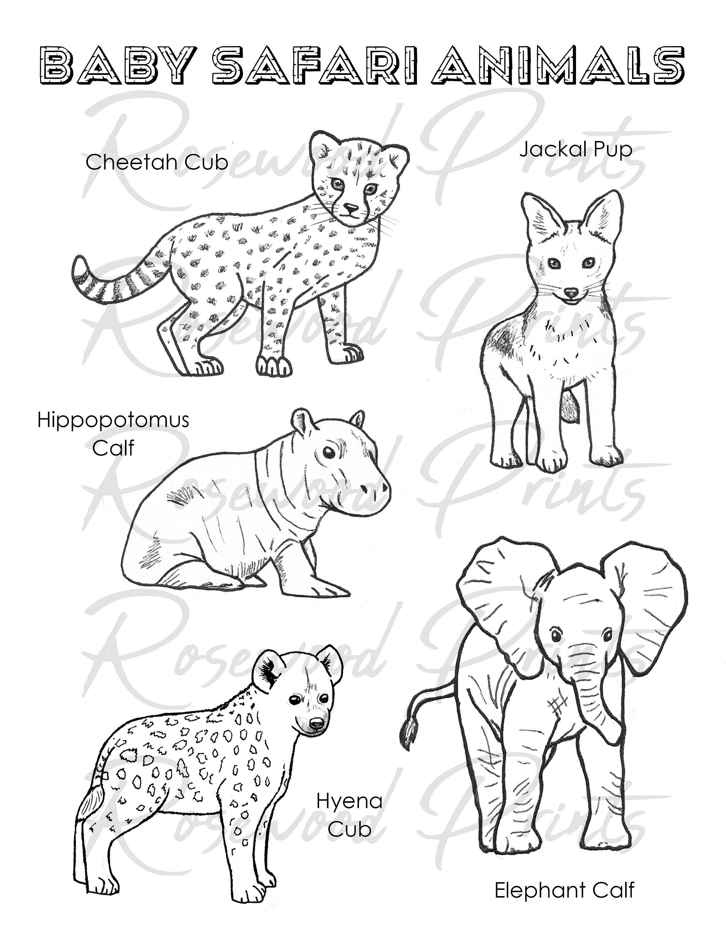 36+ New Animal Coloring Pages Inspirational