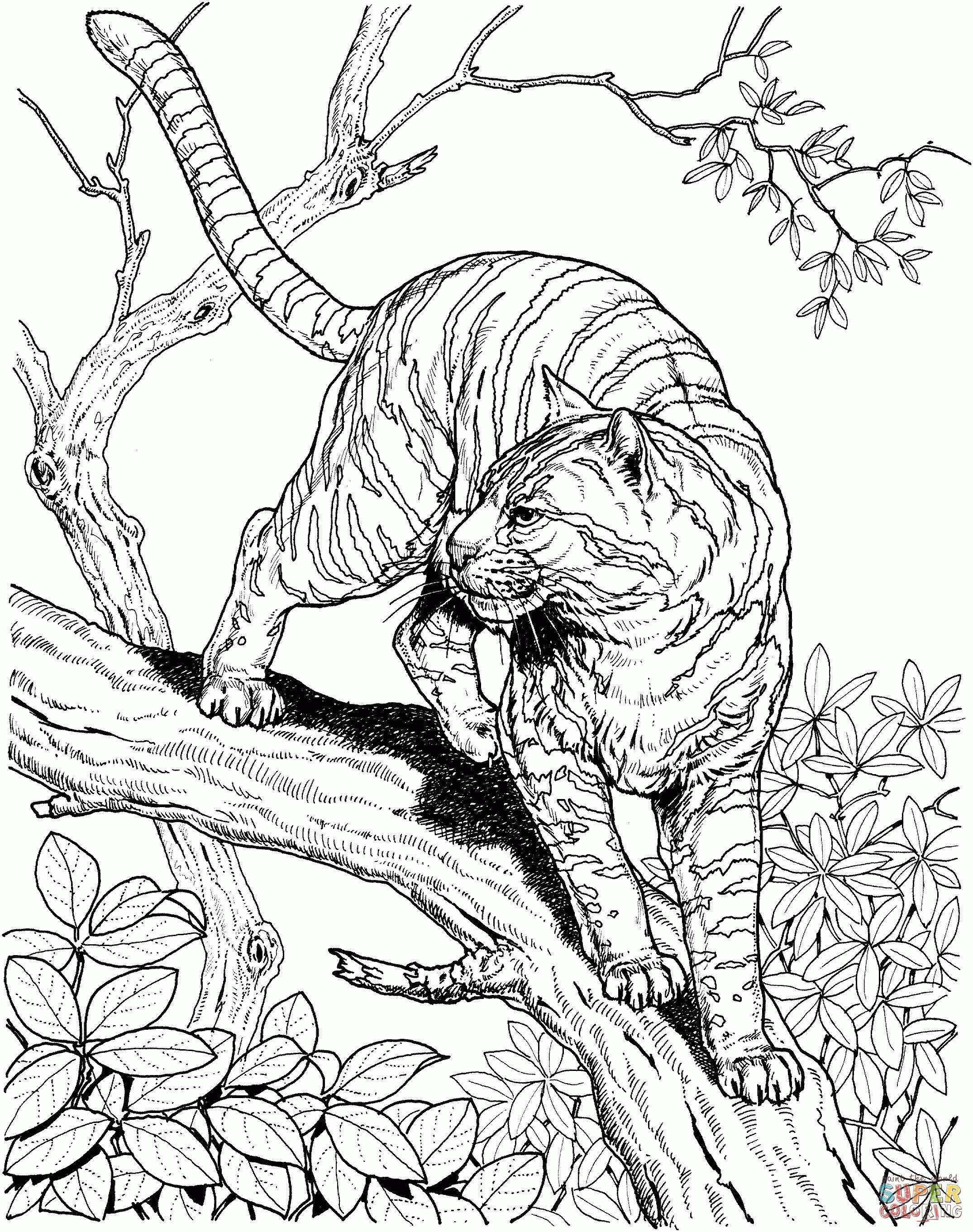 41+ Colorful Animal Coloring Pages Cute