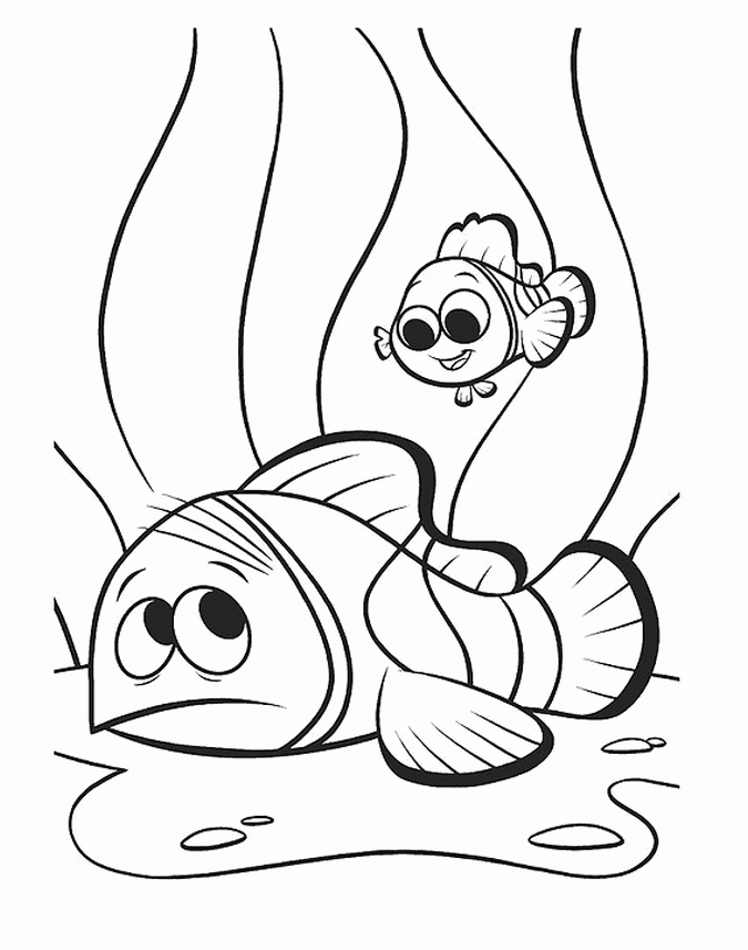 47+ Lovely Nemo Coloring Pages Detailed