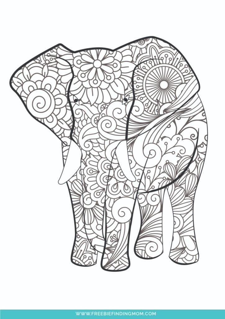 37+ Joyful Animal Coloring Pages for Kids and Adult