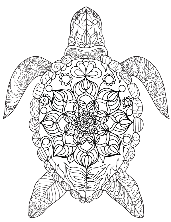 34+ Simple Turtle Coloring Pages Free Printable