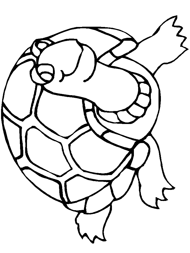 32+ Adorable Turtle Coloring Pages to Print