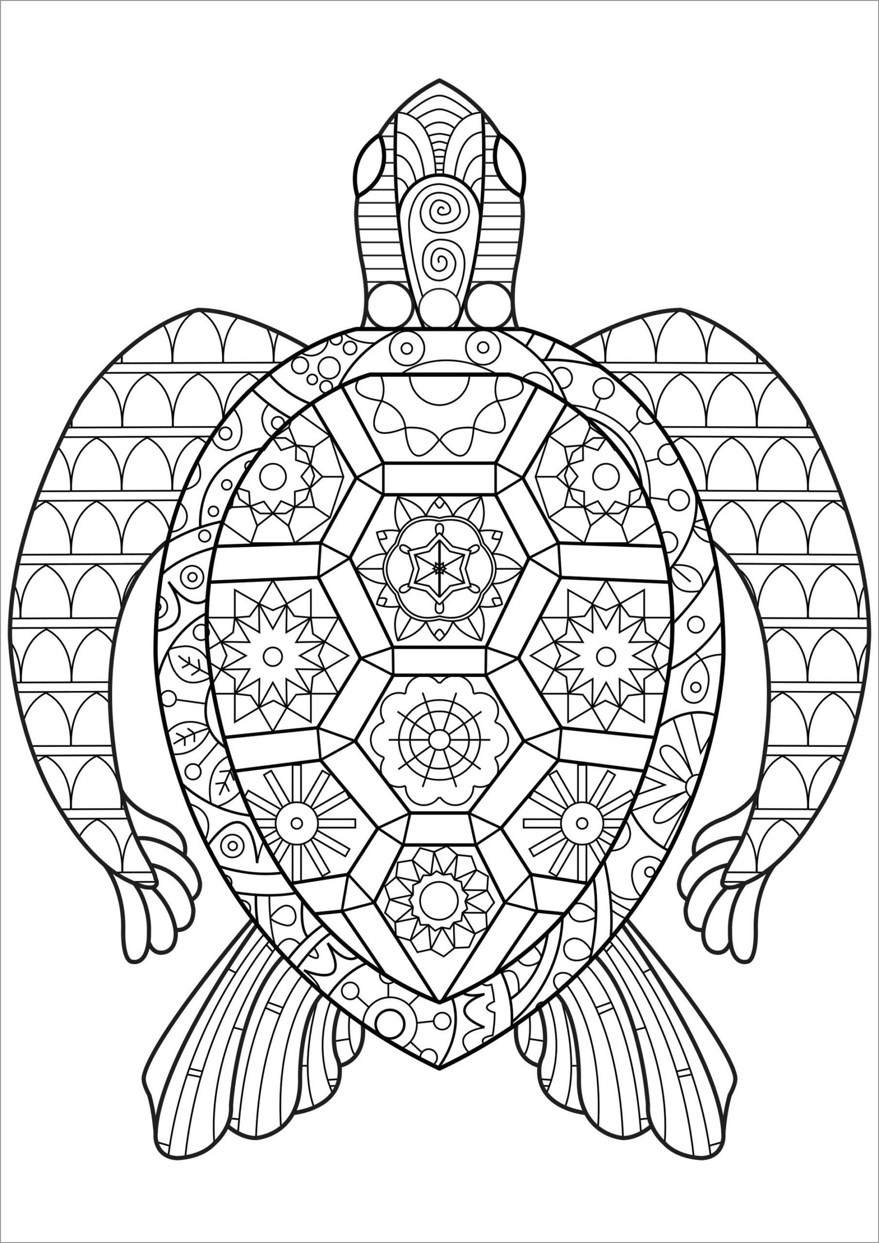 42+ Interactive Turtle Coloring Pages Easy Kids