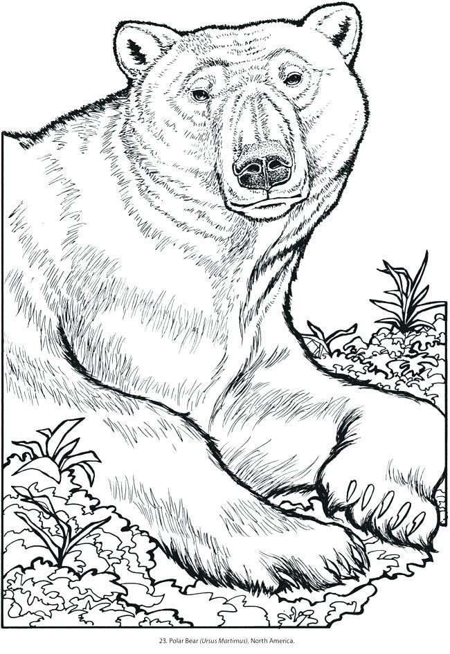 48+ Free Animal Coloring Pages Inspirational