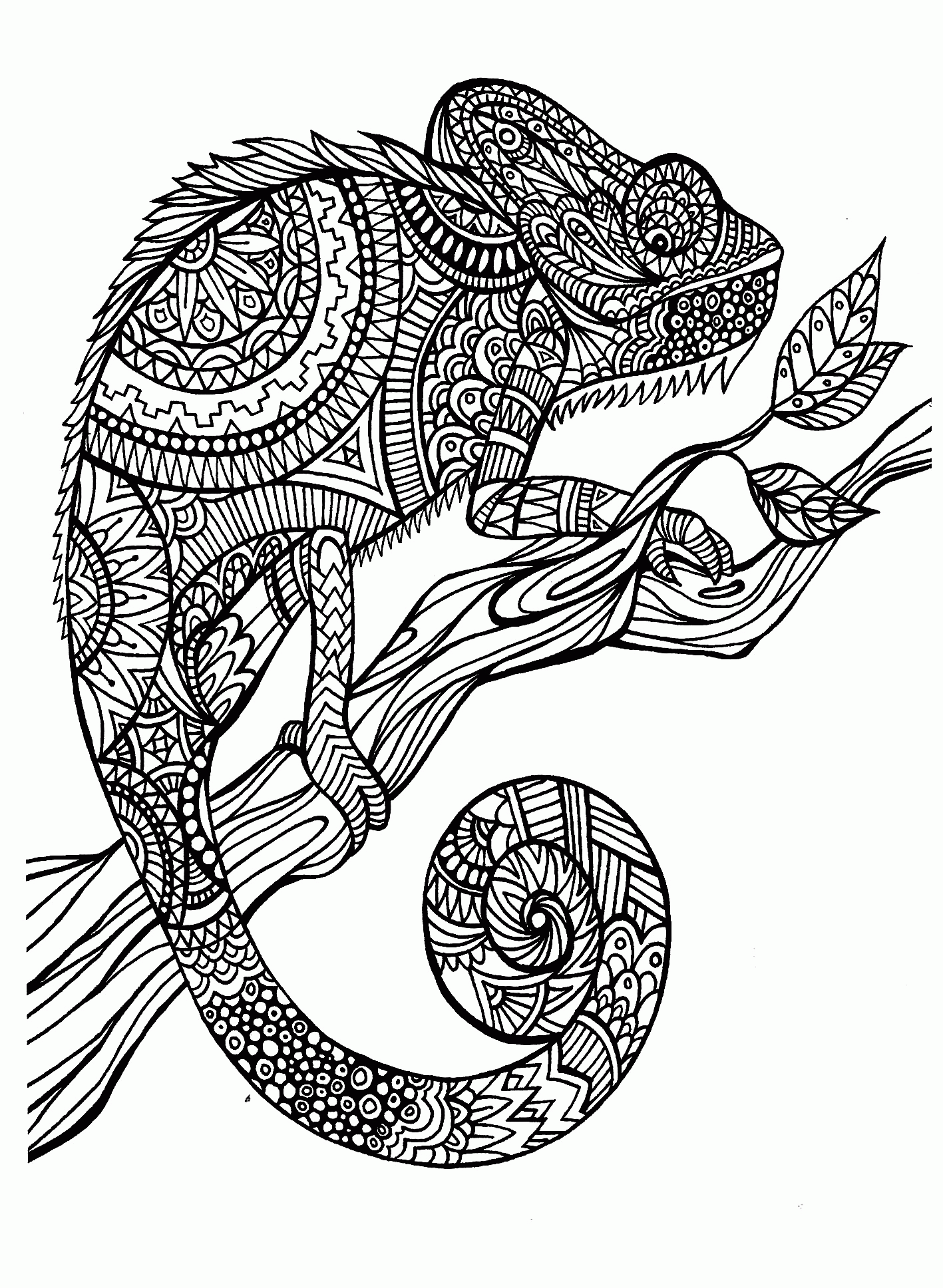 38+ Inspiring Animal Coloring Pages Simple