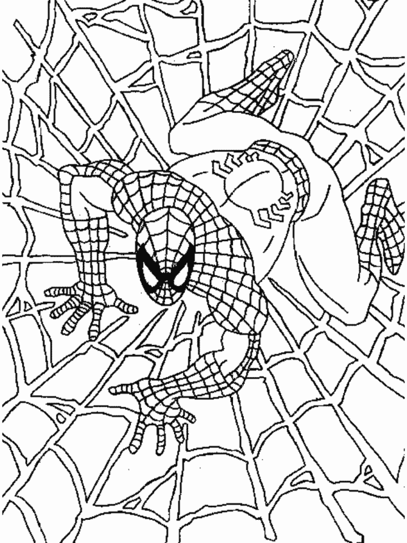 10 Black Spider-Man Coloring 6