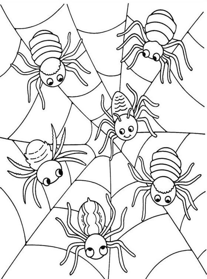 10 Jumping Spider Coloring Page 7