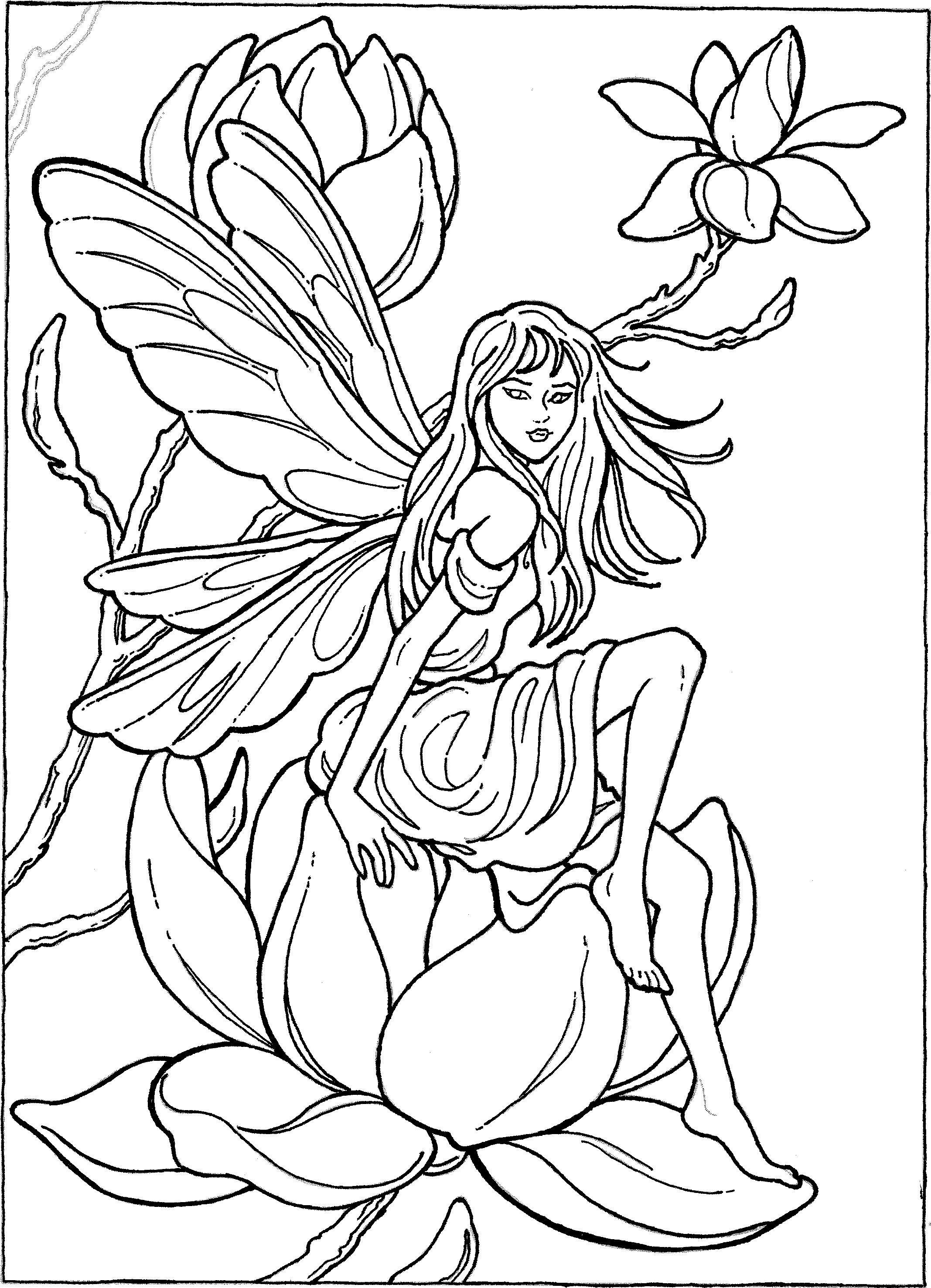 40+ Free Fairy Coloring Pages Line Art