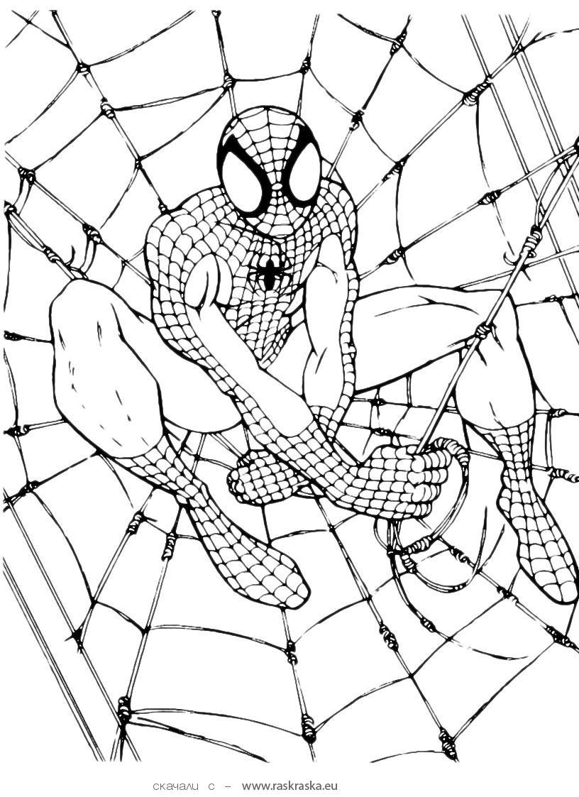 39+ Free New Spiderman Coloring Pages Books