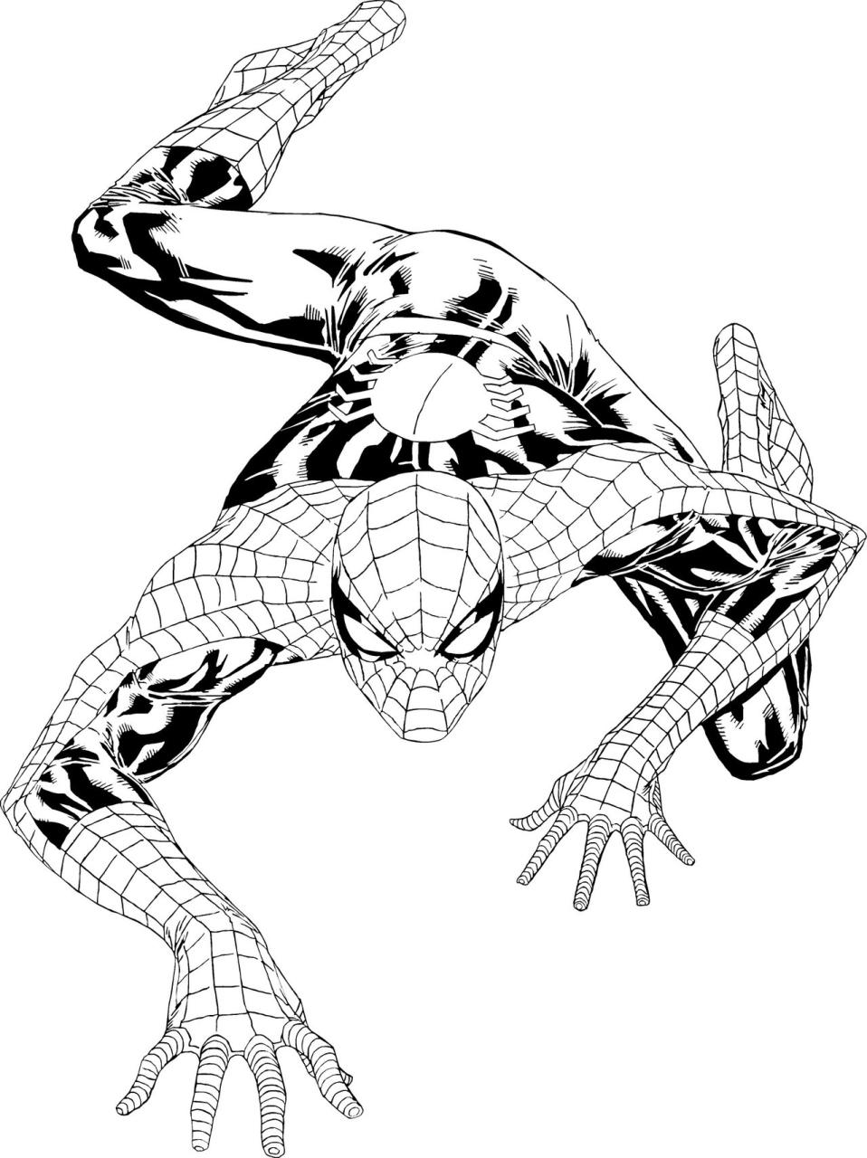 10 Cool Free Spiderman Coloring Pages for Kids