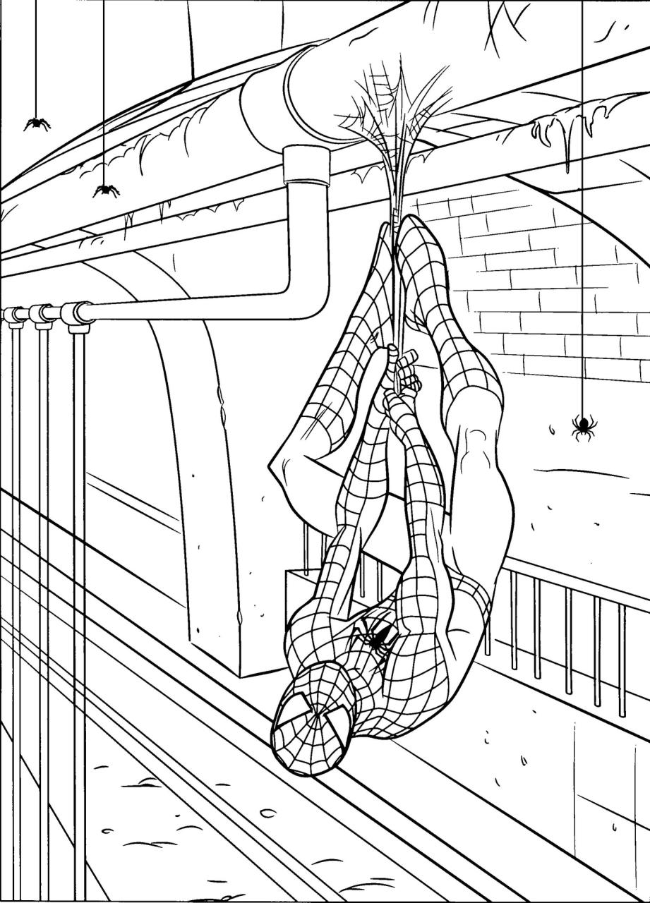 10 Blank Spiderman Coloring Pages for Your Creativity