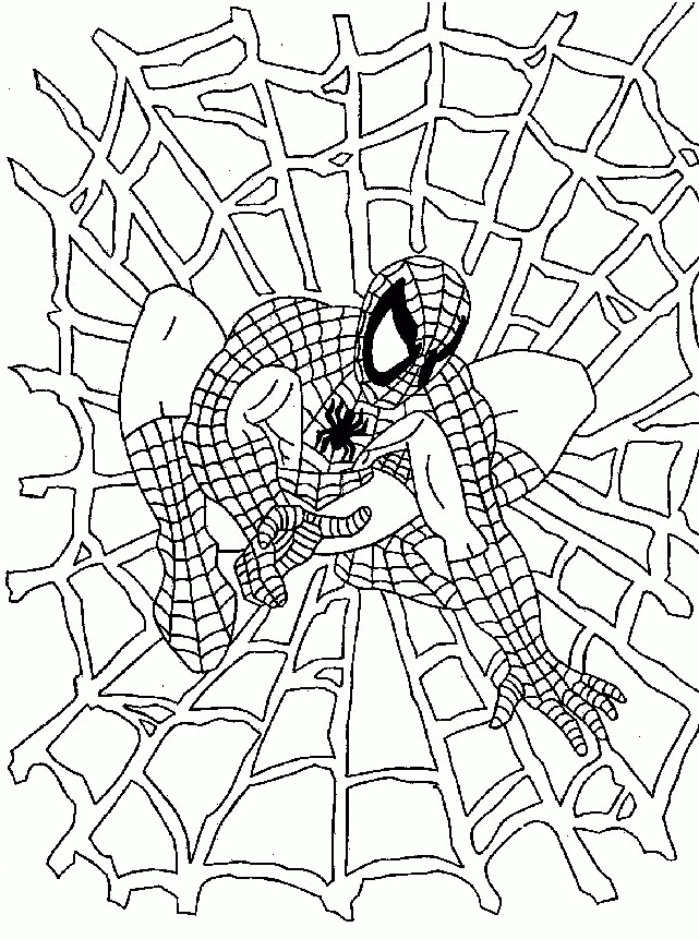 10 Spin Spiderman Coloring Pages for Kids and Adults