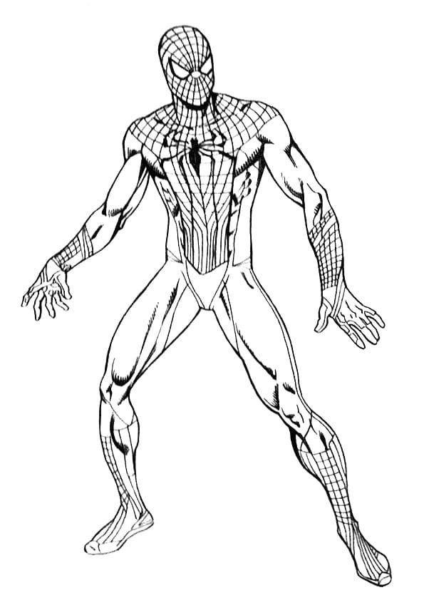 42+ Download Amazing Spider Man 3 Coloring Pages Sketch