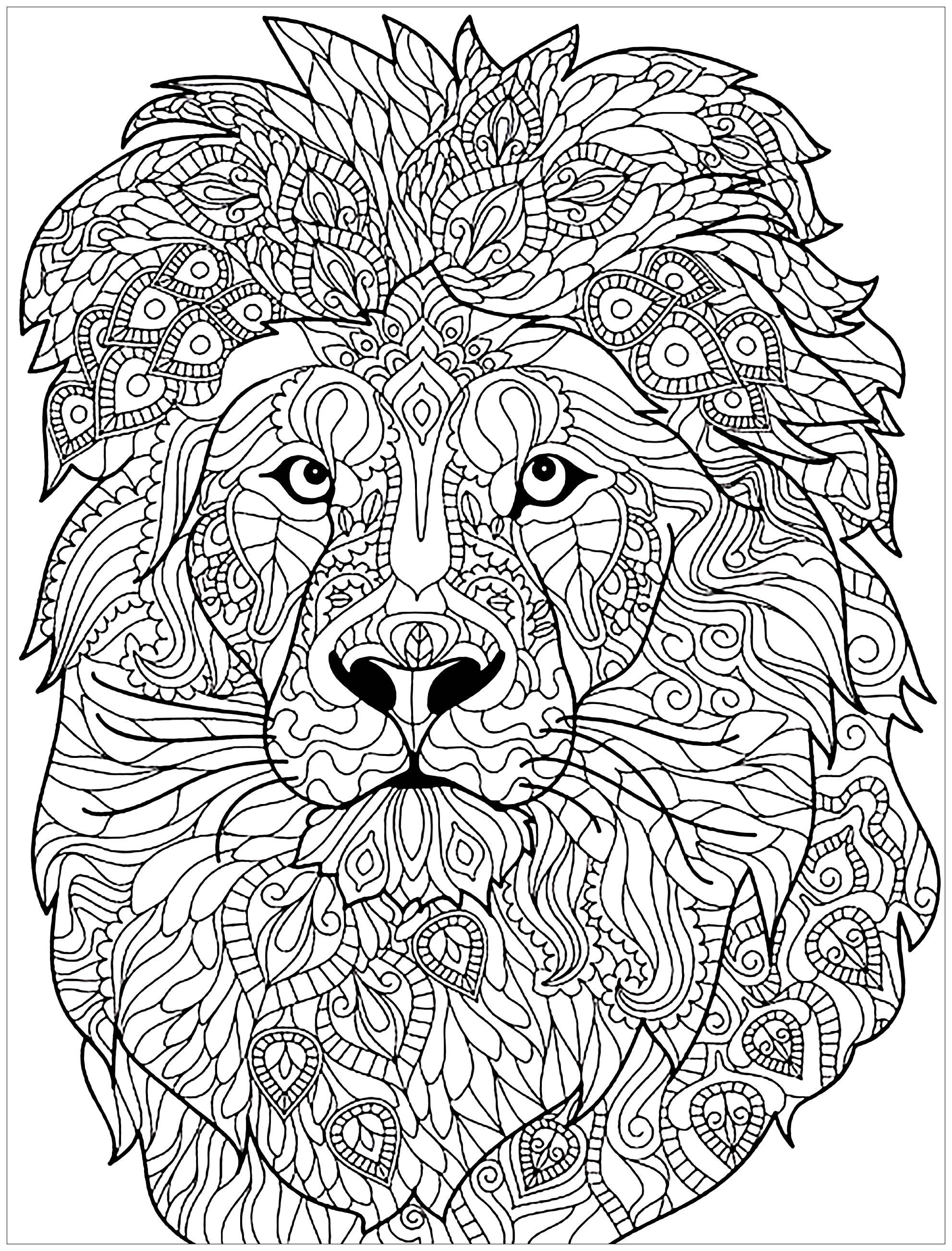 44+ Free Lion Coloring Pages Sheets Printables