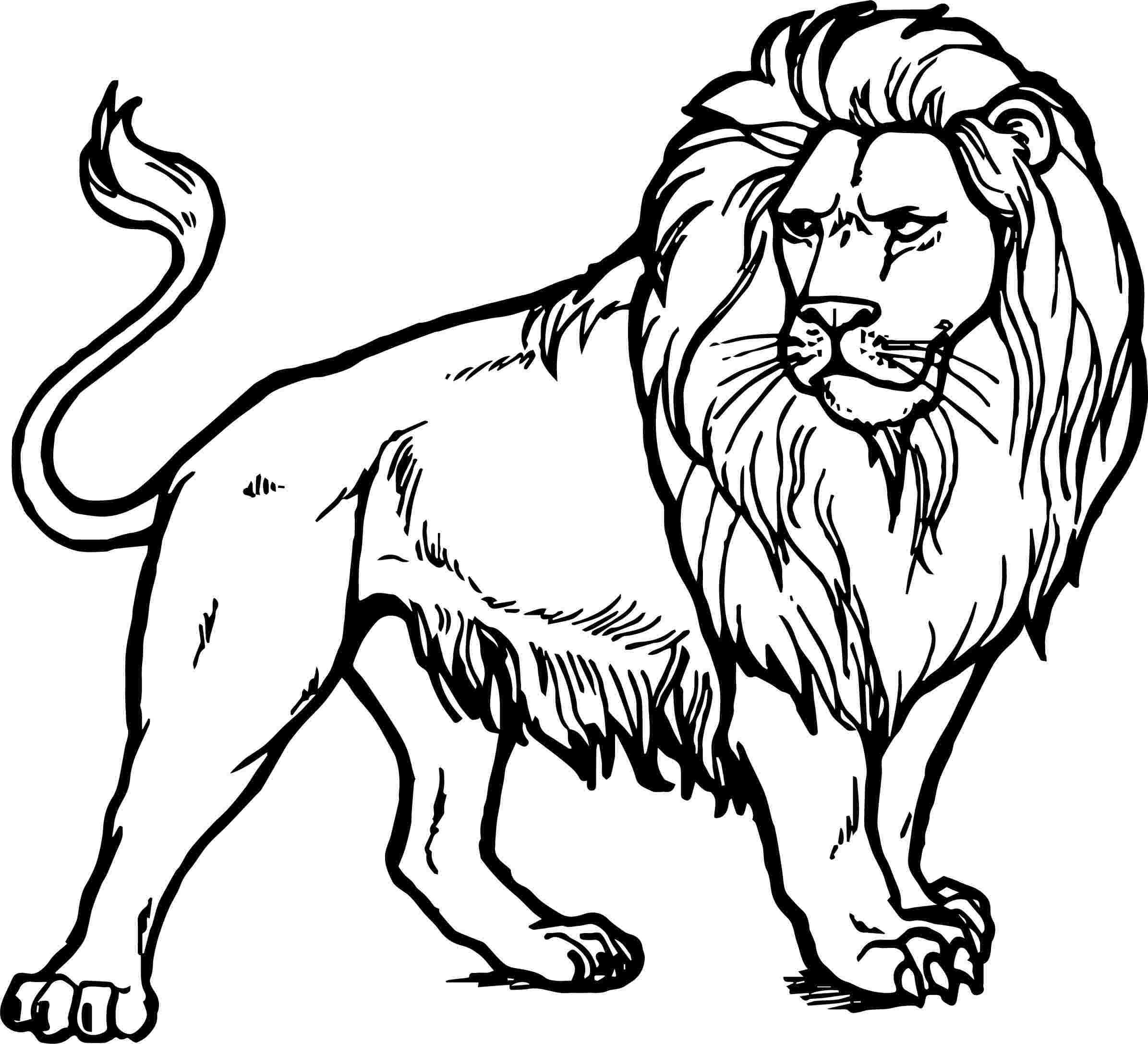 50+ Printable Lion Coloring Pages Books