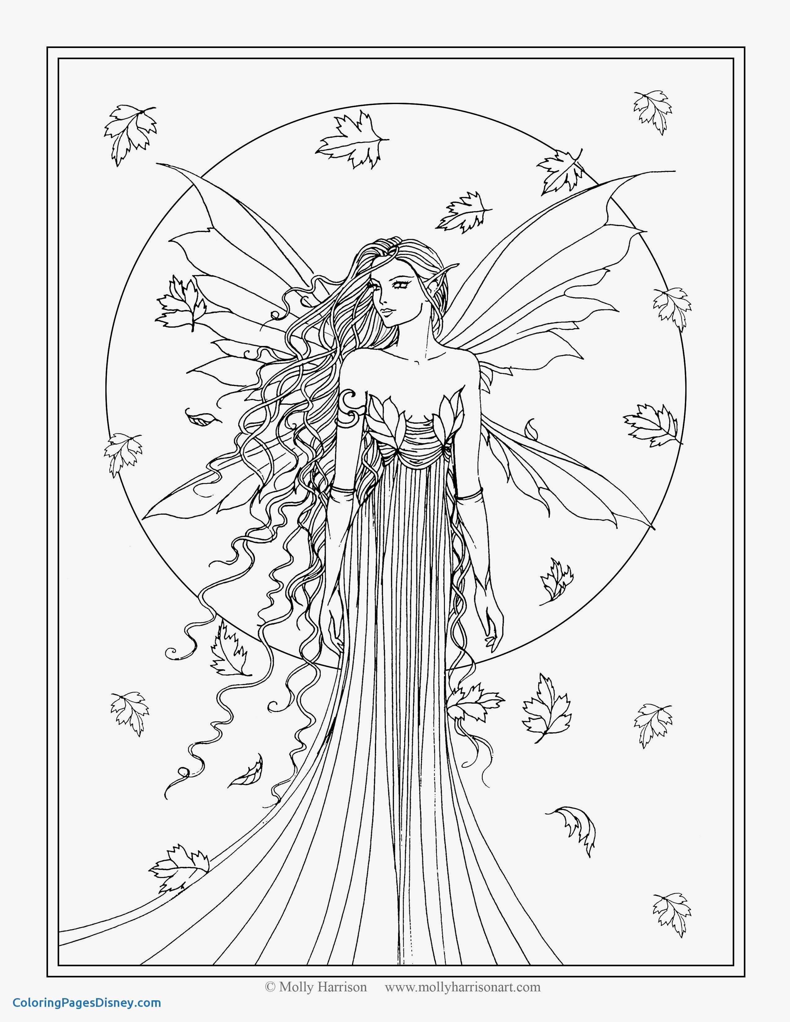 31+ Download Fairy Coloring Pages Line Art