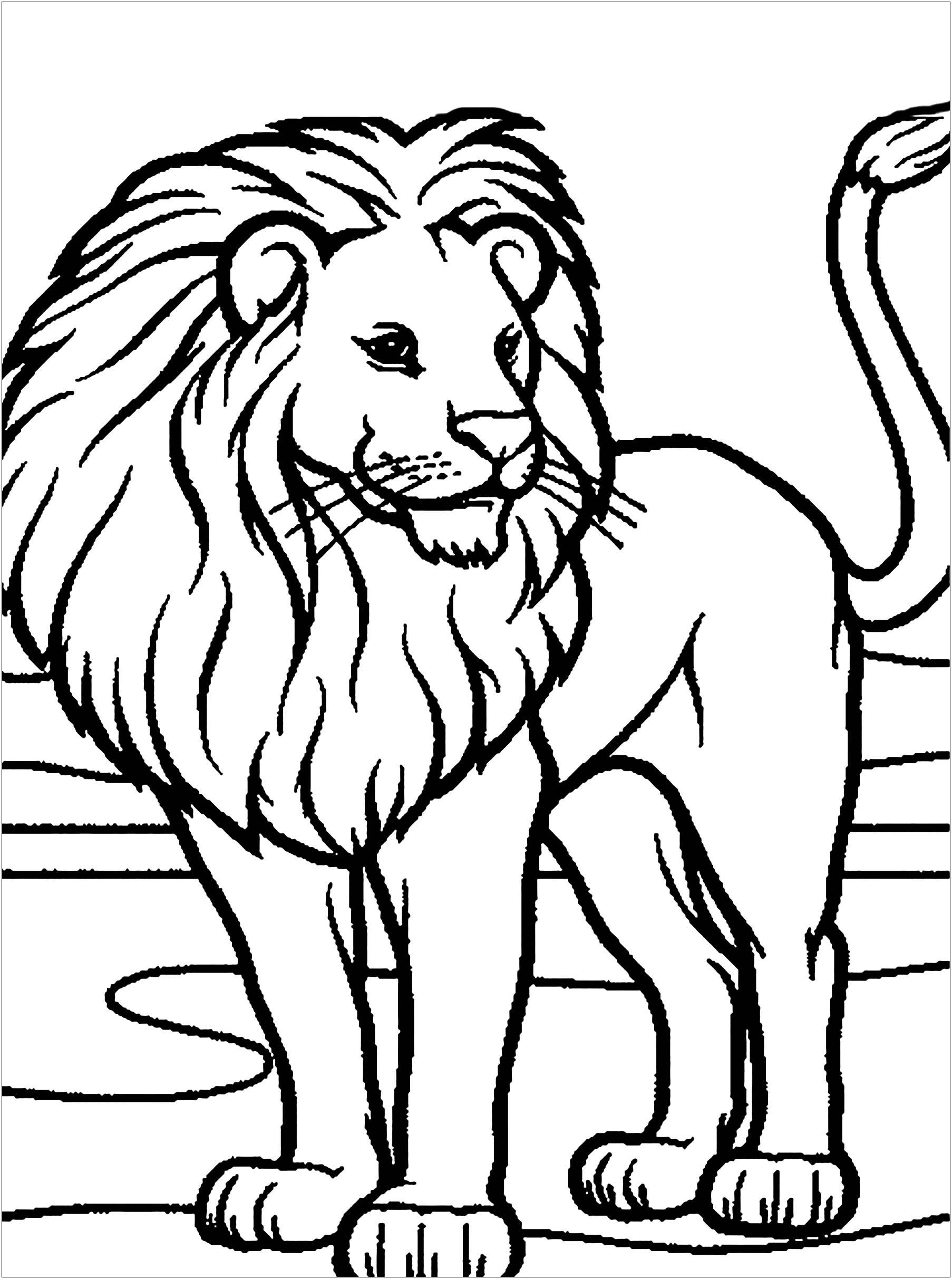 36+ Top Lion Coloring Pages Books