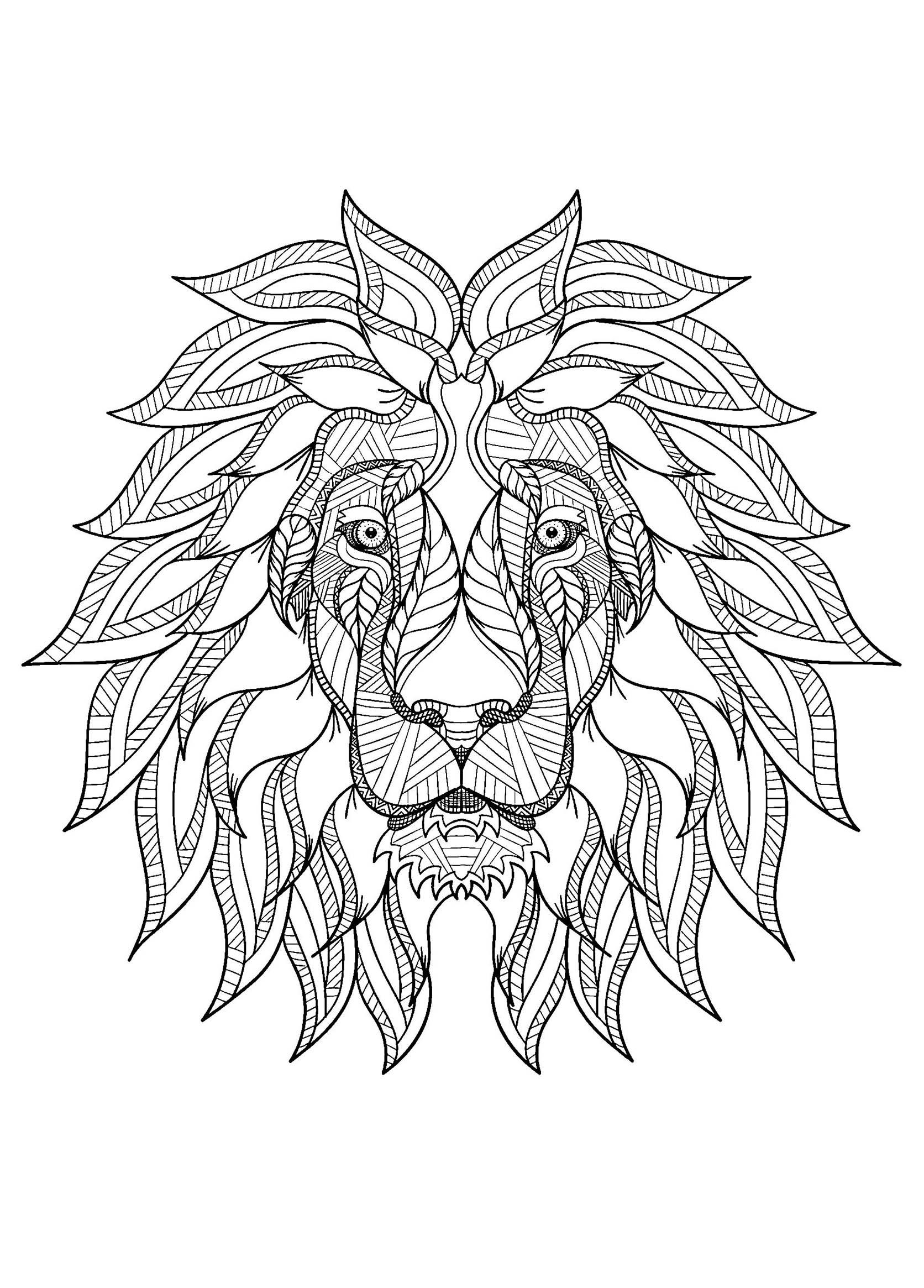 36+ Best of Lion Coloring Pages Sheets Printables