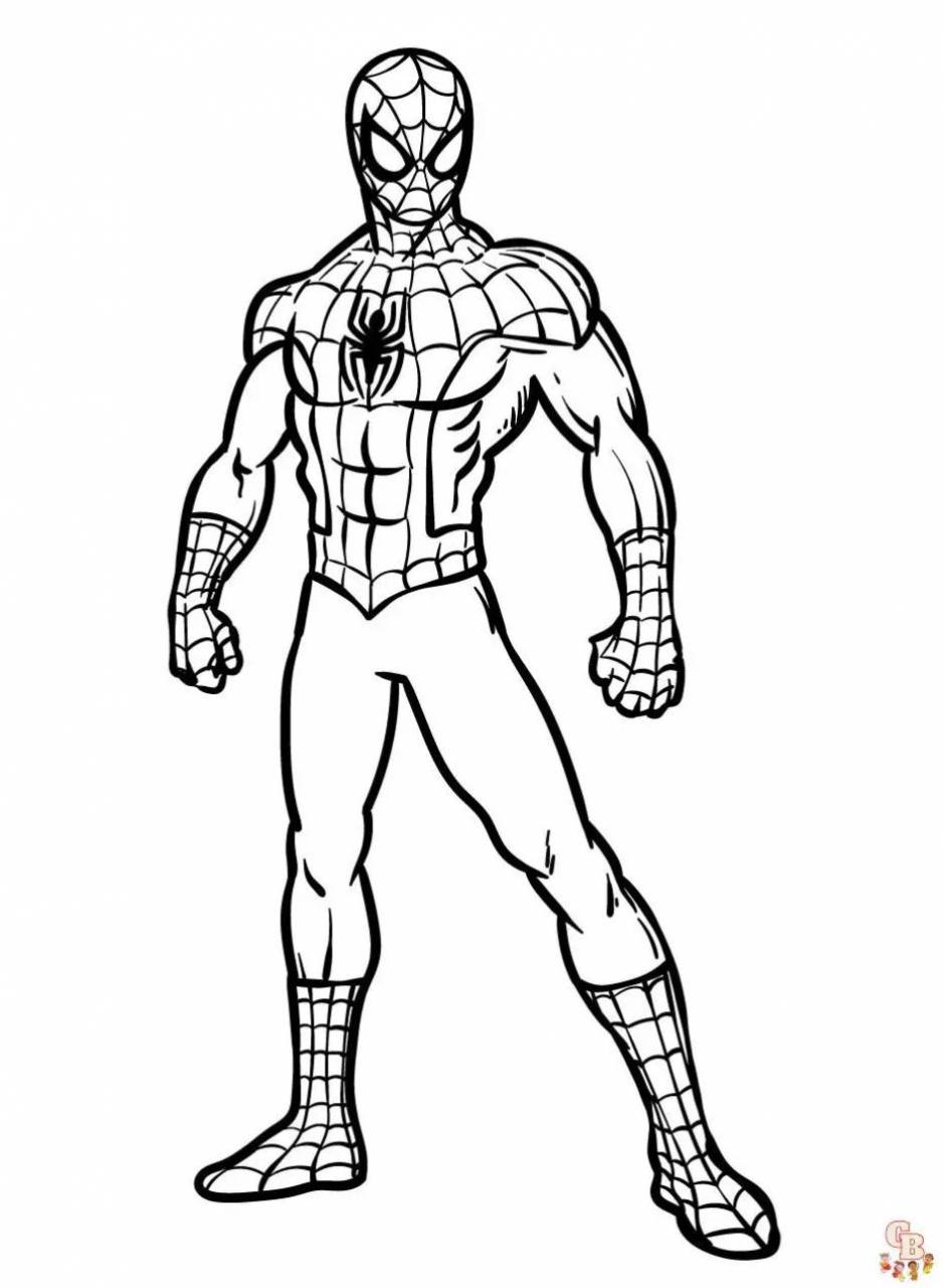 10 Easy Spiderman Coloring Pages for Kids and Adults