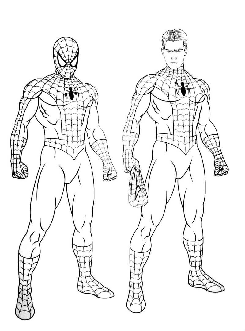 44+ Best of Peter Parker Coloring for Adult