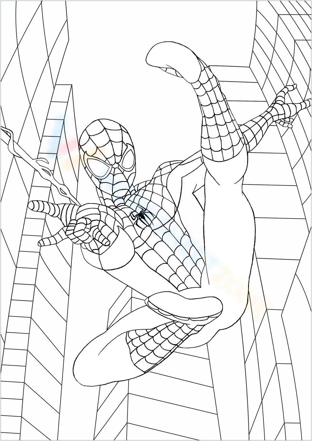 49+ Unique Spiderman Logo Coloring Pages PDF Printable